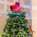 Mode Végétaliennes